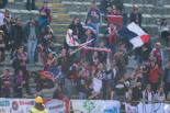 Bologna 3-0 Cagliari 27°Day 2012_2013