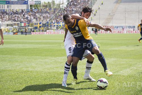 Hellas Verona Alessandro Lucarelli Parma 2015 Parma, Italy. 