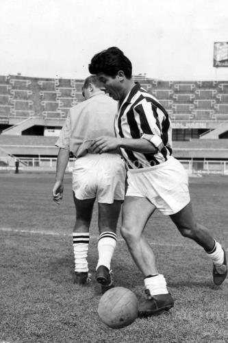 Juventus 1964-1965 italian championship 1964-1965 Italy. 