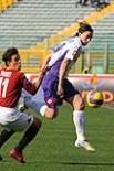 taddei ferrante rodrigo